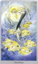 Shadowscapes taro kortos Llewellyn - Image 6