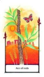 Tarot Of The Old Path rinkinys kortos ir knyga AGM - Image 3