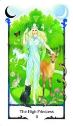 Tarot Of The Old Path rinkinys kortos ir knyga AGM - Image 4