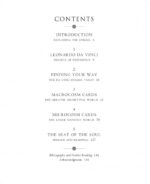 The Da Vinci Enigma Tarot kortos ir knyga Schiffer Publishing - Image 2
