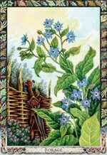 The Druid Plant Oracle Kortos Welbeck Publishing - Image 2
