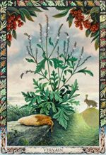 The Druid Plant Oracle Kortos Welbeck Publishing - Image 3