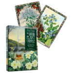 The Druid Plant Oracle Kortos Welbeck Publishing - Image 7