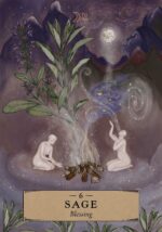 The Herbal Astrology Pocket Oracle kortos Hay House - Image 4