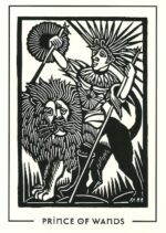 The Light And Shadow Taro kortos Destiny Books - Image 6