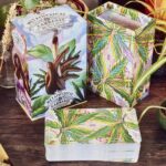 The Metaphysical Cannabis Oracle kortos Liminal 11 - Image 5