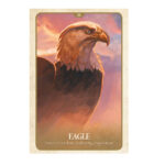 The Secret Language of Animals Oracle kortos Blue Angel - Image 6