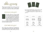 The Wild Elemental Oracle kortos Schiffer Publishing - Image 3
