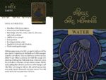 The Wild Elemental Oracle kortos Schiffer Publishing - Image 6
