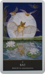 The Witches Oracle kortos Welbeck Publishing - Image 2