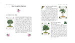 Tree Magick Oracle kortos Cico Books - Image 4