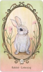 Wing, Hoof and Paw: an Animal Companion Oracle kortos US Games Systems - Image 4
