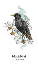 Winterseer Animal Oracle kortos - Image 2