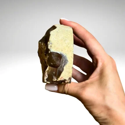 Agatas (pastatomas) 564g.